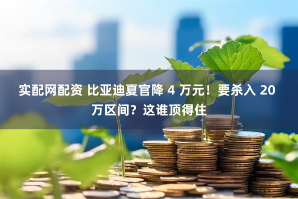 实配网配资 比亚迪夏官降 4 万元！要杀入 20 万区间？这谁顶得住