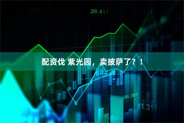 配资伐 紫光园，卖披萨了？！
