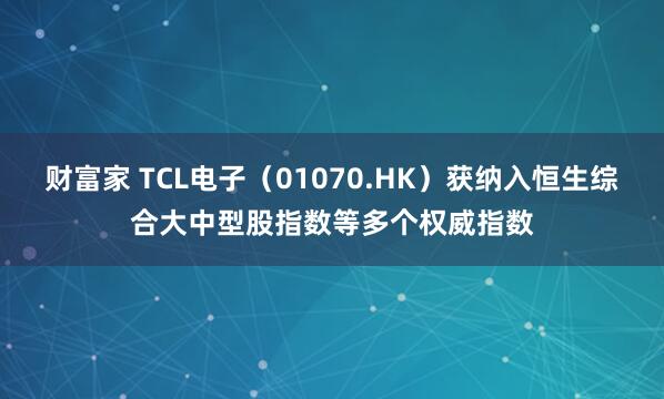 财富家 TCL电子（01070.HK）获纳入恒生综合大中型股指数等多个权威指数